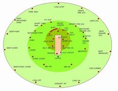 Image result for Cricket Field Set