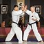 Image result for Karate Black Belt Ranks