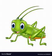 Image result for Grasshopper Cartoon