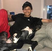Image result for Louis Tomlinson Family Tree
