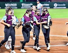Image result for Little League Softball Pride