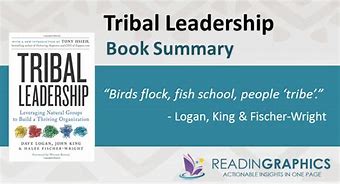 Image result for Tribal Leadership Book