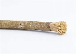 Image result for Chewed Stick Drawing