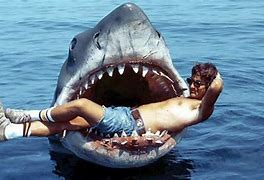 Image result for Jaws vs Great White Shark