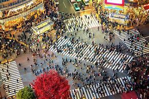 Image result for Shibuya Crossing Best View