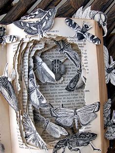 Mayberry’s Insects . Kelly Campbell | Book art sculptures, Altered book art, Book sculpture