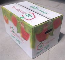 Image result for Apple Fruit Box