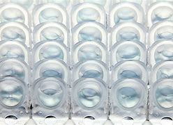 Image result for Monthly Contact Lenses Blister Pack