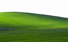 Image result for Windows XP Bliss 1080P