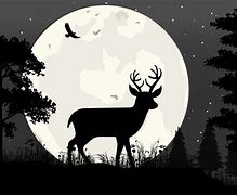 Image result for Deer Silhouette Photography