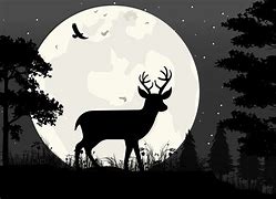 Image result for Cool Deer Silhouette