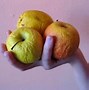 Image result for Small Apple Fruit