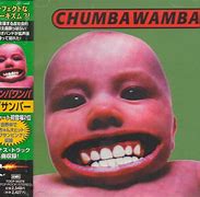 Image result for tubthumper