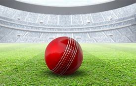 Image result for Cricket Ball in Ground