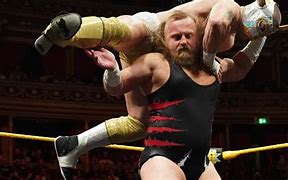 Image result for WWE Wild