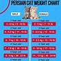 Image result for Adult Cat Weight Chart