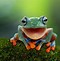 Image result for Angry Frog PC Wallpaper