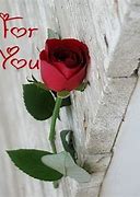 Image result for Pictures of a Rose for You
