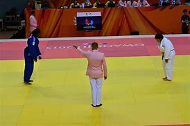 Image result for Japanese Judo