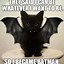 Image result for Funny Bat Pictures