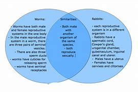 Image result for Comparison or Difference Between Two Images of Nature