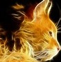 Image result for Cat Wallpaper for Fire Tablet