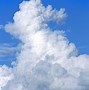 Image result for Animal Cloud Formations