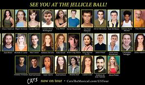 Image result for Cats Us Tour Cast