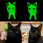 Image result for Lu's Cat for Tatll