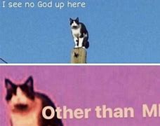 Image result for Oh My God Cat Meme