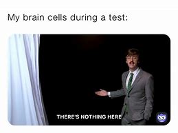 Image result for My Brain Cells during a Test Meme