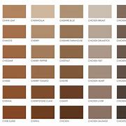 Image result for Brown Pantone Color