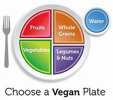 Image result for Vegetarian Diet for Beginners