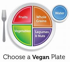 Image result for Vegetarian Diet