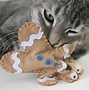 Image result for Handmade Toys for Cats