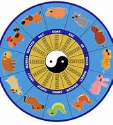 Image result for Chinese New Year Infographic