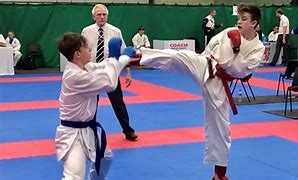 Image result for English Karate Academy