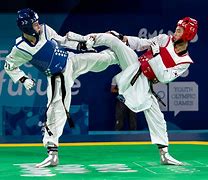 Image result for Taekwondo as the National Martial Art