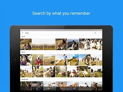 Image result for My Pictures Photo Gallery App