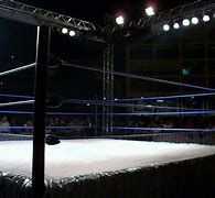 Image result for Wrestling Ring Arena