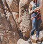 Image result for Climbing Harness