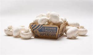 Image result for Recycled Mushroom Packaging