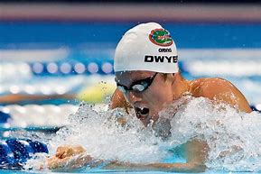 Image result for Swimming Florida Gators