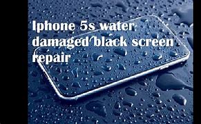 Image result for Water Damage iPhone Black Screen