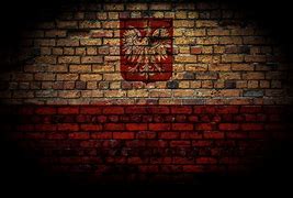 Image result for Poland Country Flag