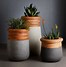 Image result for Outdoor Planter Plants