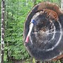Image result for Best Throwing Axe