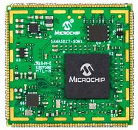 Image result for Dutch Microchip China