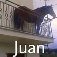 Image result for Juan Can Do