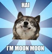 Image result for Cat Moon Meme